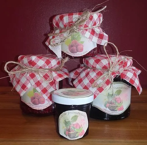 Les Petits Matins Bleus - D'hotes 