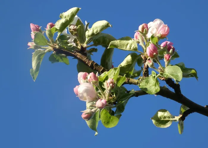 Bed and breakfast Les Petits Matins Bleus - D'hotes 